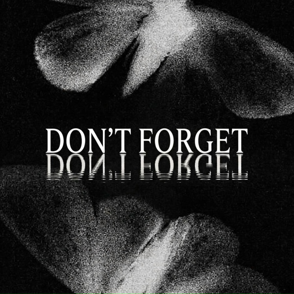 Обложка: silent anthem - Don't Forget