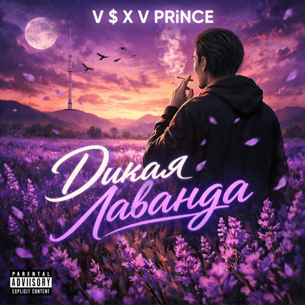 Обложка: V $ X V PRiNCE - Дикая Лаванда