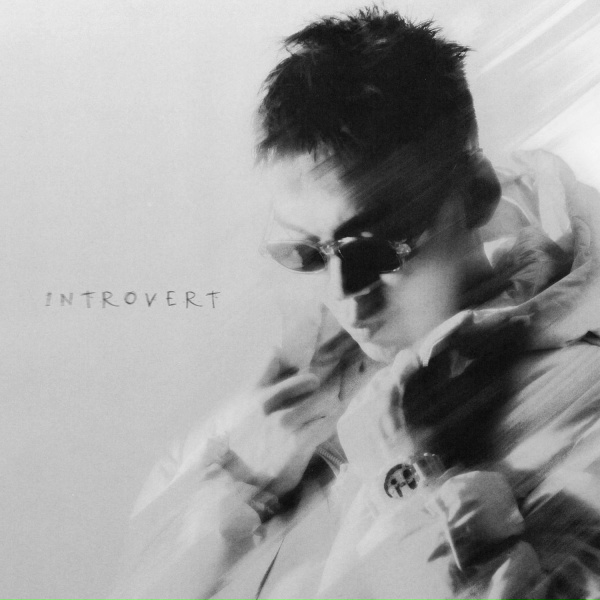 Обложка: IntroVert - Белая метель
