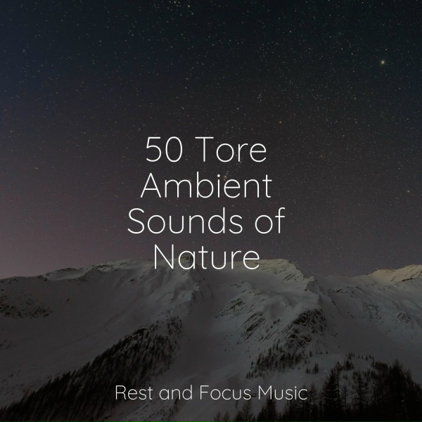 Обложка: Wellness, Yoga Sounds, Zarobi - Calming Sounds