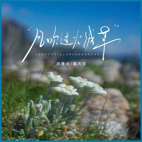 Обложка: 顾墨迹, 葛芮羽 - 风吹过火绒草
