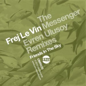 Обложка: Frej Le Vin - Friends In The Sky