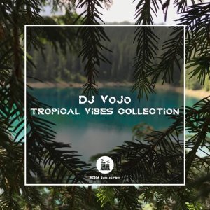 Обложка: QRVZH, DJ VoJo - In My Soul