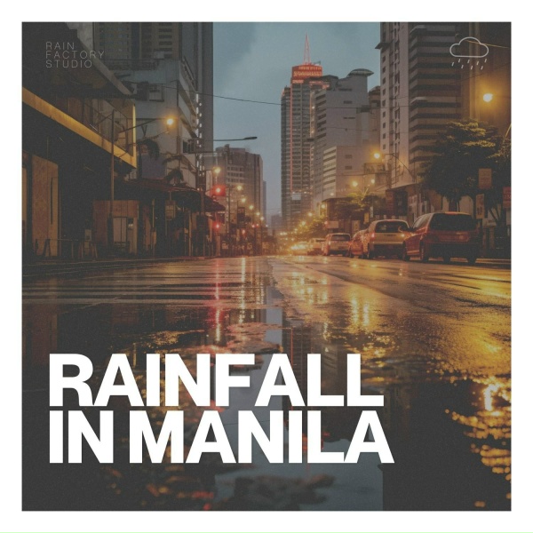 Обложка: Rainfall Place - New York City's Wet Weather