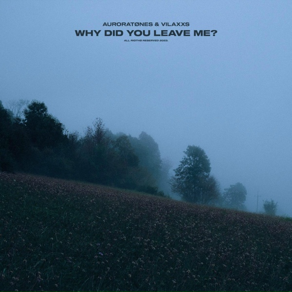 Обложка: auroratønes, Vilaxxs - why did you leave me?