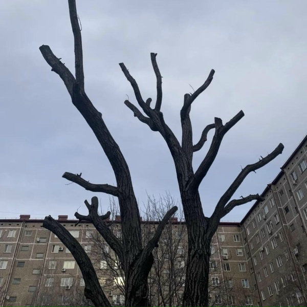 Обложка: Son, Fire! - Golden Hour
