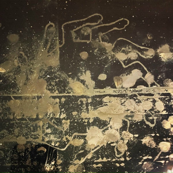 Обложка: JMSN - Dirty Dog