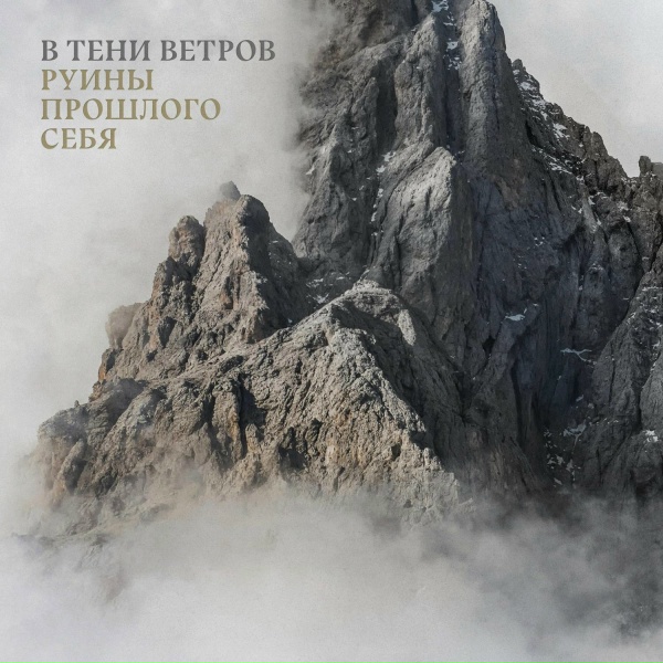 Обложка: В тени ветров - Холод