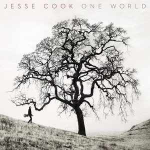 Обложка: Jesse Cook - Shake