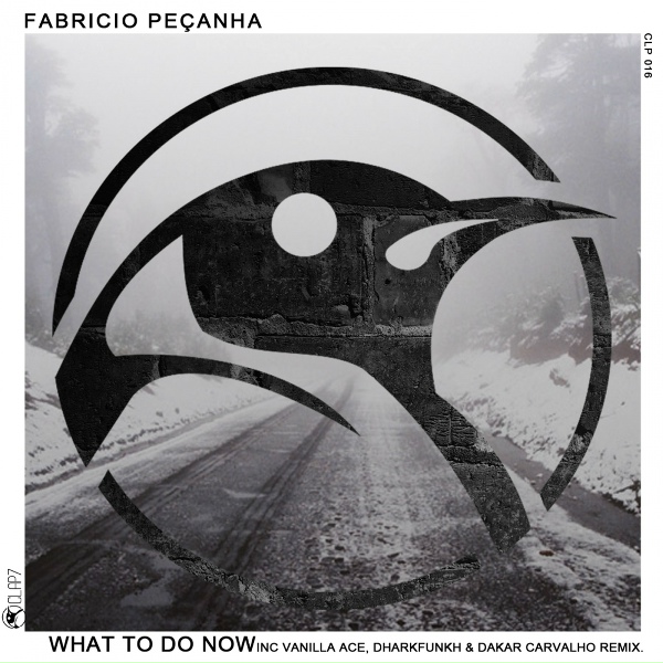 Обложка: Fabricio Peçanha - What To Do Now