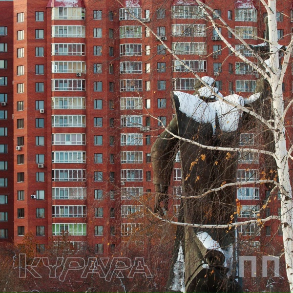 Обложка: Курара - ПП