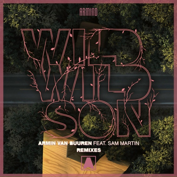 Обложка: Armin van Buuren, Sam Martin - Wild Wild Son