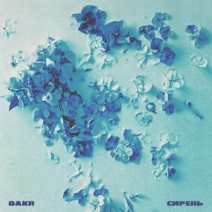 Обложка: Bakr - Сирень