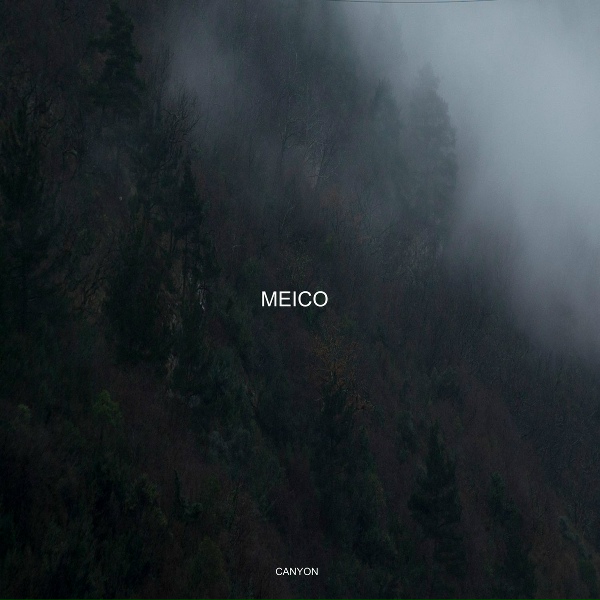 Обложка: Meico - Fallen
