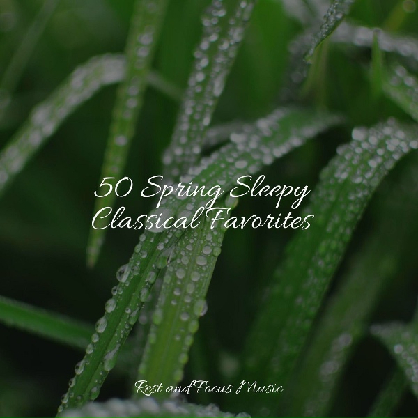 Обложка: Tranquility Spa Universe, Bath Spa Relaxing Music Zone, Relax Meditation Sleep - Weightless
