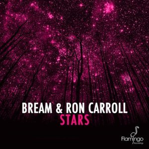 Обложка: Bream and Ron Carroll - Stars(Original Mix)