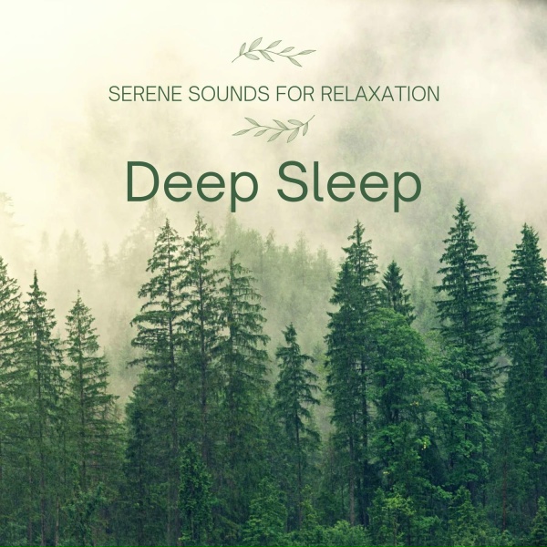 Обложка: Deep Sleep - Calm Night Melodies