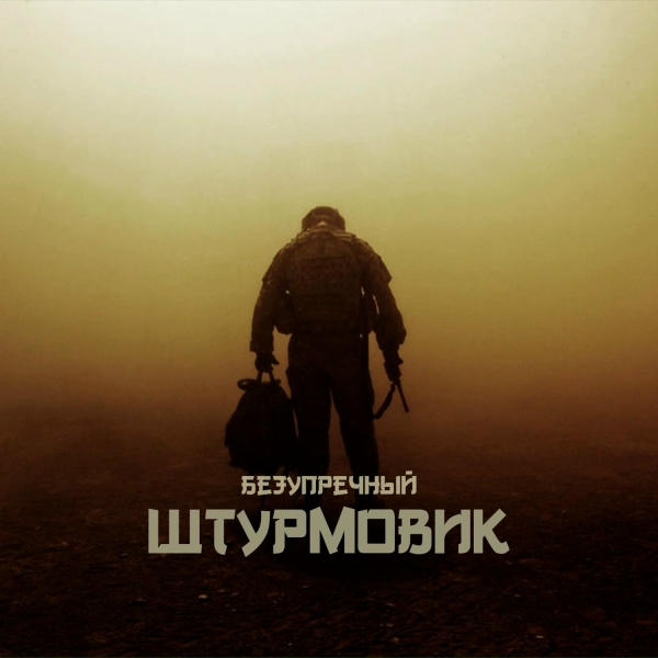 Обложка: Безупречный - Штурмовик