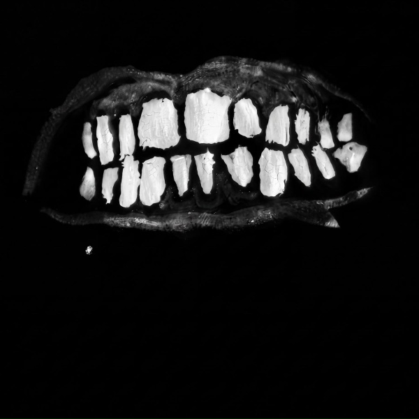 Обложка: DEADKID - INTRU