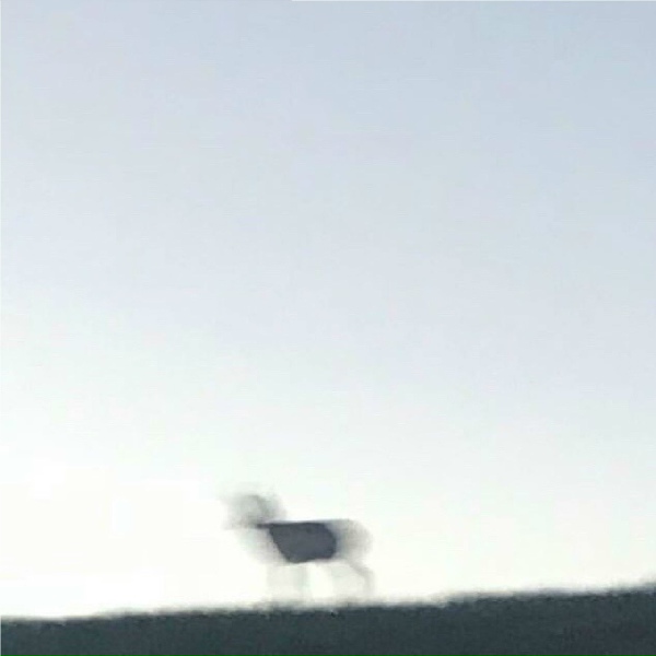 Обложка: AL-90 - Defocus