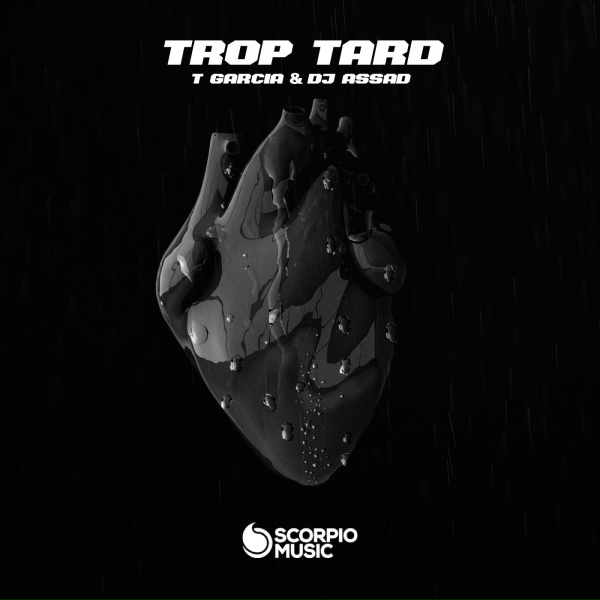 Обложка: T Garcia, DJ Assad - Trop Tard