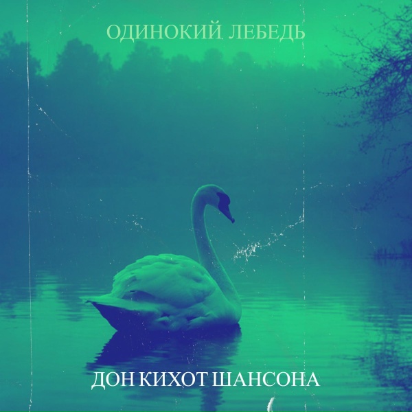 Обложка: Дон КиХот Шансона - Одинокий лебедь