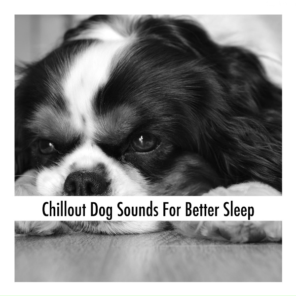 Обложка: Chillout Dog Sleep - Sleep Dog