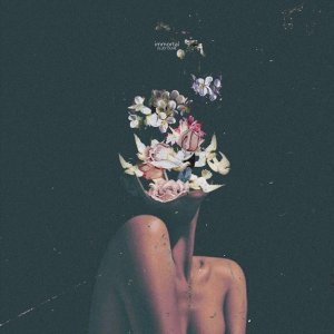 Обложка: Elley Duhé - immortal