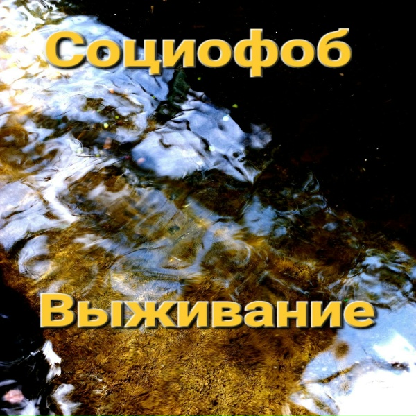 Обложка: Социофоб - Любой ценой