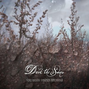 Обложка: Dark The Suns - Shadows in the Void