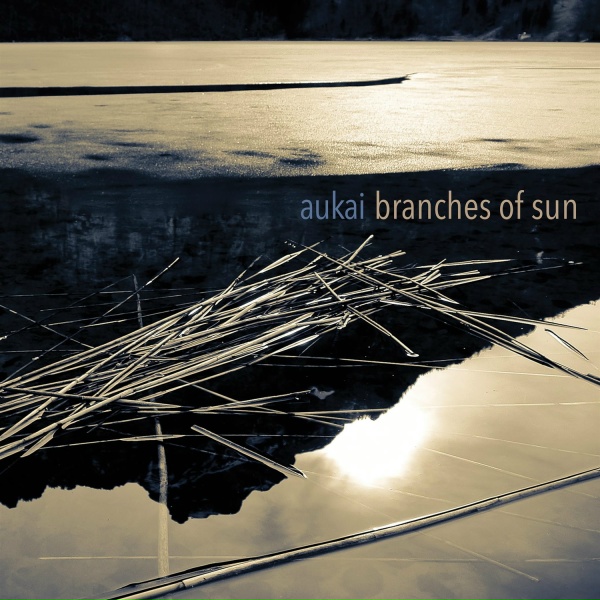 Обложка: Aukai - Become