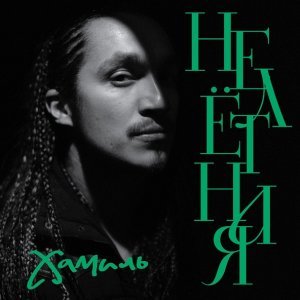 Обложка: Хамиль Каста - Нелётная