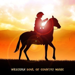 Обложка: Wild Country Instrumentals - Country Brothers