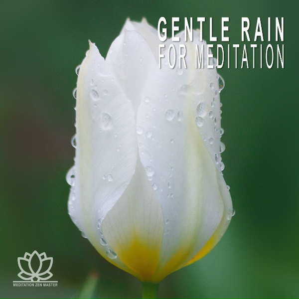 Обложка: Meditation Zen Master - Gentle Rain for Meditation, Pt. 06