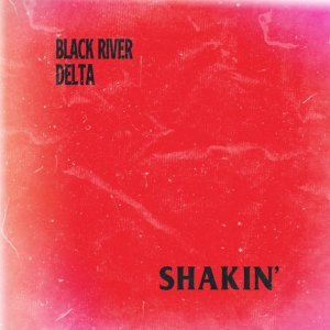 Обложка: Black River Delta - Black Gold