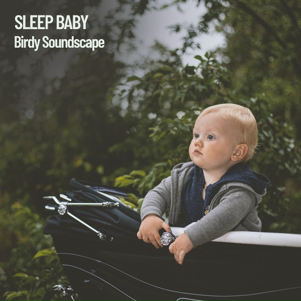 Обложка: Baby Sleep Music, Spa, Baby Lullaby - Forest Meditation with Wind