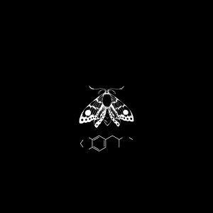 Обложка: NEMIGA - Золотые поля