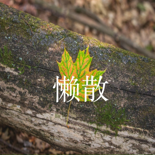 Обложка: 空代云 - 昆虫