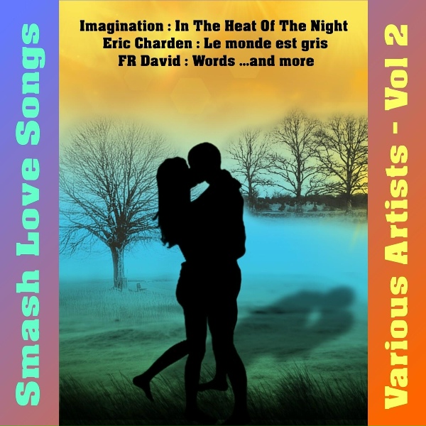 Обложка: Imagination - In the Heat of the Night