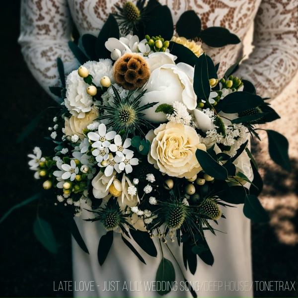 Обложка: Tonetrax - Late Love (Just a Lil' Wedding Song)