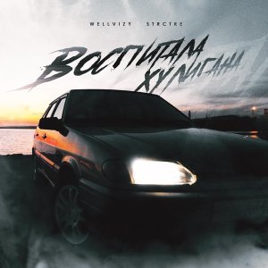 Обложка: WELLVIZY, STRCTRE - Воспитала хулигана