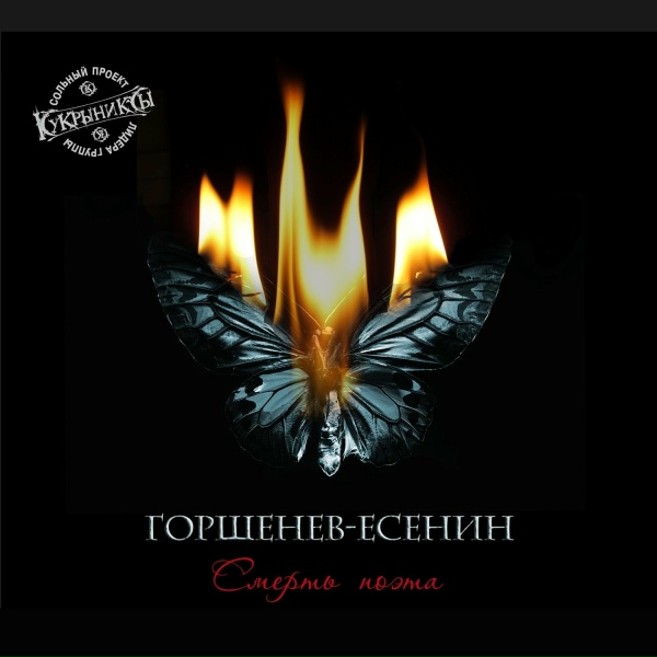 Обложка: Алексей Горшенёв - Не жалею