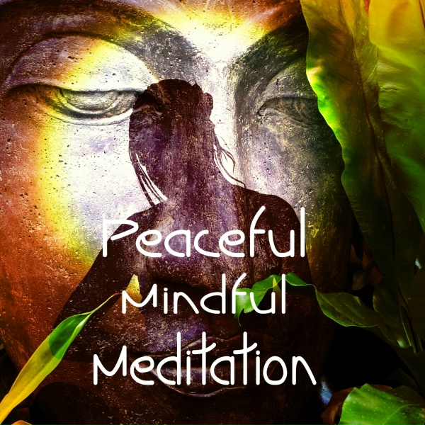 Обложка: Meditation Music Zone - Soothing Adventure