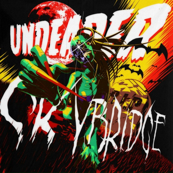 Обложка: SKYBRIDGE - Human Rites