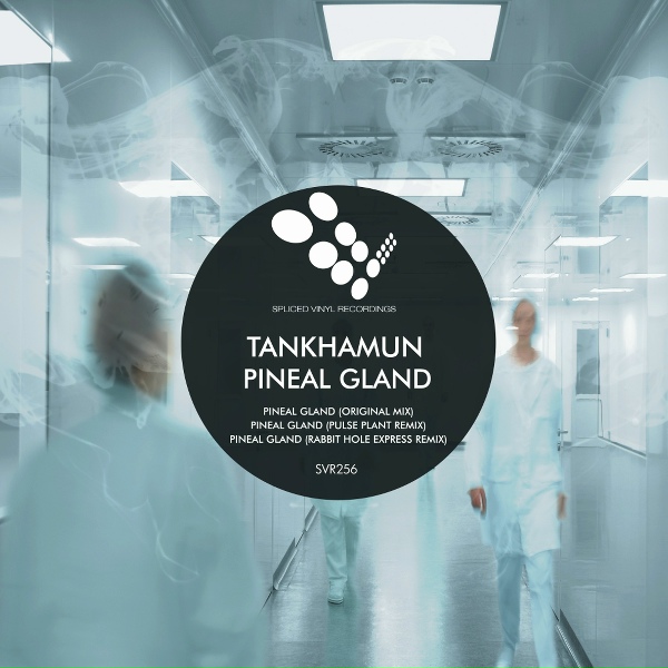 Обложка: Tankhamun - Pineal Gland