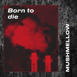 Обложка: Mushmellow - Born to Die