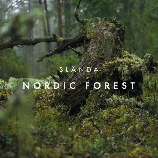 Обложка: Slända - Subtle Sounds of Woodlands in a Summer Breeze