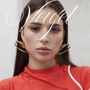 Обложка: VEIGEL - Прощай