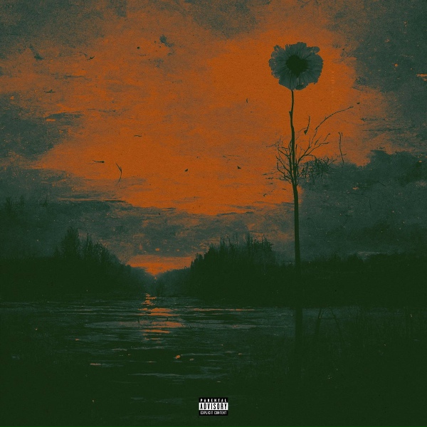 Обложка: Cody Bolan - pain in a sunrise