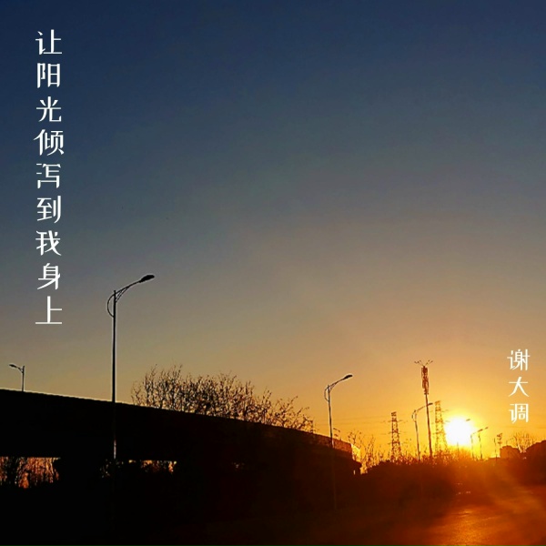 Обложка: 謝大調 - 青鳥